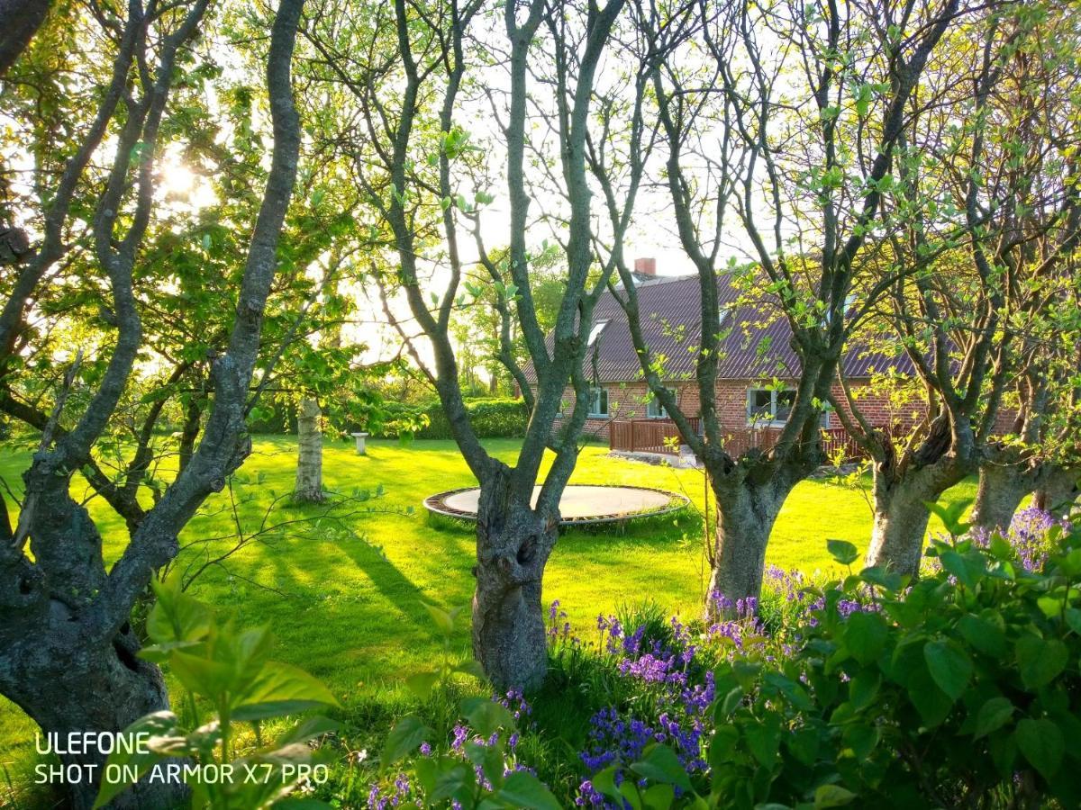 Lilleledgaard Country House Ringkøbing Exteriér fotografie