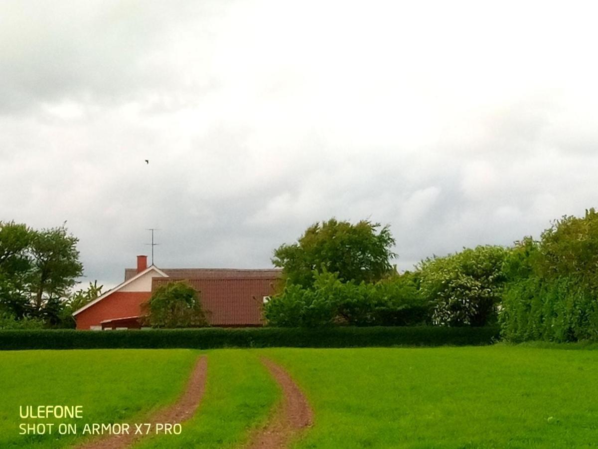 Lilleledgaard Country House Ringkøbing Exteriér fotografie